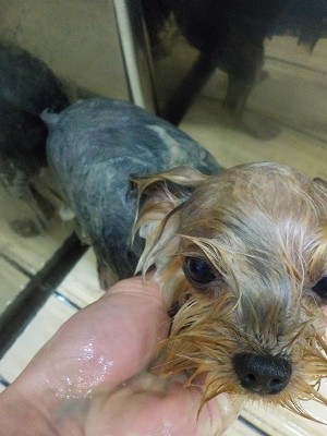 11-6%e3%81%b2%e3%82%81-3