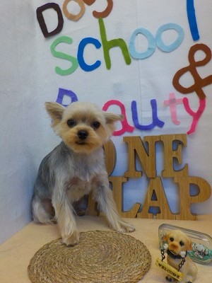 『サラサラツヤツヤです♪』