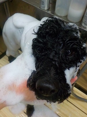 11-6%e3%82%8a%e3%82%85%e3%81%86-2