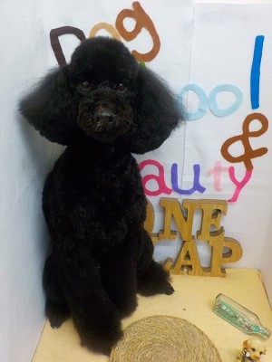 『サッパリして良かったー☆』