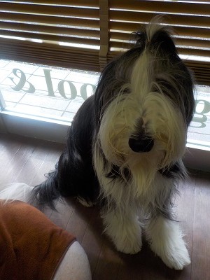 『しっかり洗ってね！！』