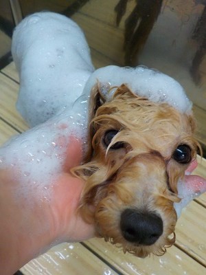 11-8%e3%82%82%e3%81%93-2