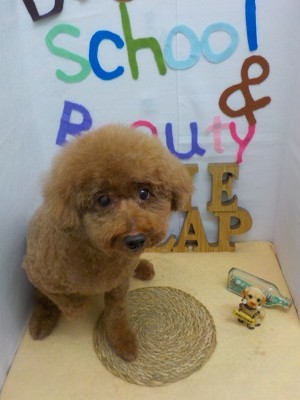 『サッパリしましたー♪』