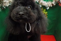 『サッパリしたわ♪』