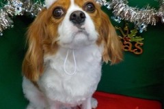 『サッパリしました♪』