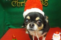 『プレゼント配りに行くぞー！なんちゃって』