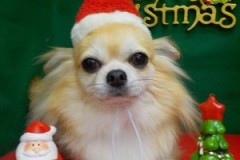 『頭キュってされたら固まっちゃうよ』