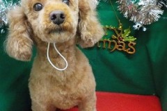 『スッキリしました☆』