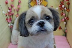 『いい感じでしょ♪』