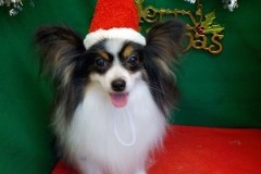 『みて！真っ白♪』