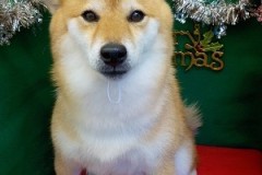 『抜け毛すごかったね！』