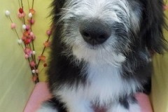 『評価いただけるかなぁ？』