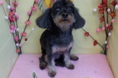 『スッキリしました☆』