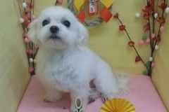 『いい感じ♪』