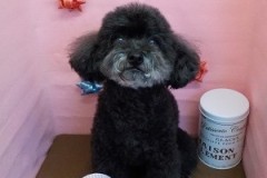 『ふわふわになりました☆』