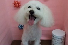 『終わったら早く帰ろー！』