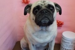 『サラサラになりました☆』