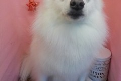 『あー、スッキリした！！』