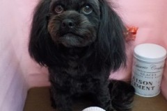 『サッパリしたよ！』