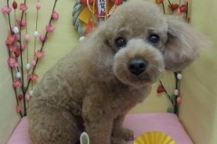 『いつもよりモコモコに残してもらったよ！』