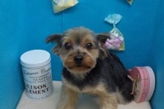 『サッパリしました♪』