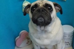 『しわもスッキリしました☆』