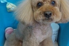 『形になるまでもう少しかかるかな。』