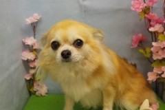 『キレイにしてもらえたよ♪』