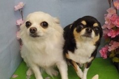 『サッパリしました☆』