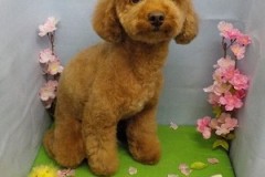 『スッキリ綺麗にしてもらいました☆』