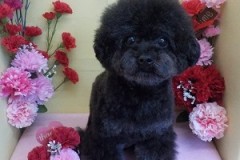 『今日もふわふわ♪』