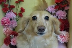 『サッパリしました♪』