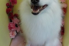 『サラサラになったよ♪』