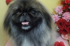 『明日は晴れるかなぁ。』