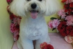 『スッキリ可愛くしてもらいました☆』