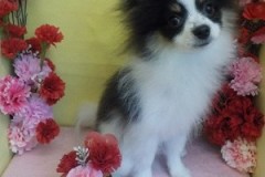 『良い子に出来たでしょ♪』