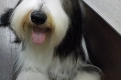 『真っ白になりました☆』