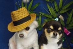 『どぉ？マイケルみたい？』