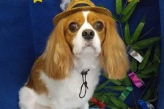 『似合うでしょ♪』