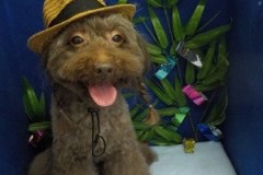 『可愛いでしょ♪』