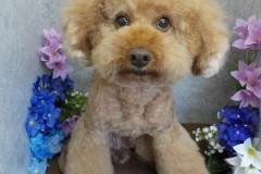 『いい感じじゃない？』