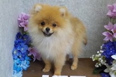 『終わったぁ。。』