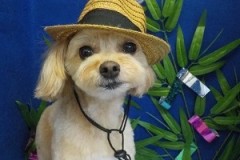 可愛く撮れてる～？？