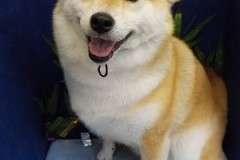 『アタシ丁度いいんじゃない？』