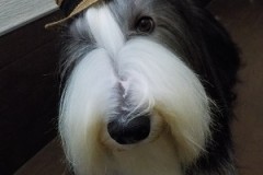 『この帽子はボクが一番似合うでしょ☆』