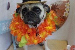 『リゾートっぽいわね！』