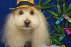 『サラサラです♪』