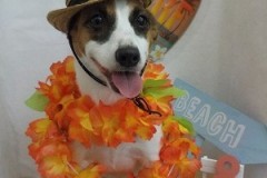 どお？似合ってる？