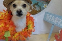 『リゾート気分です☆』