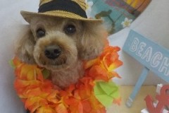 『短め☆涼しくなった！』